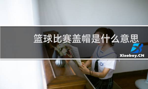 篮球比赛盖帽是什么意思图片
