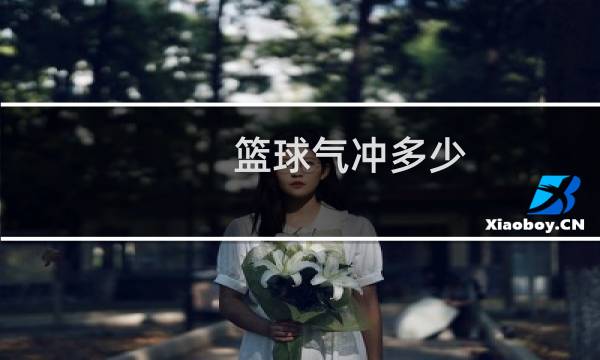 篮球气冲多少图片