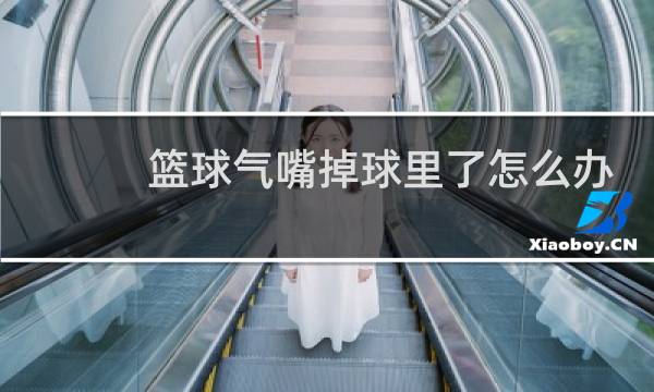 篮球气嘴掉球里了怎么办图片