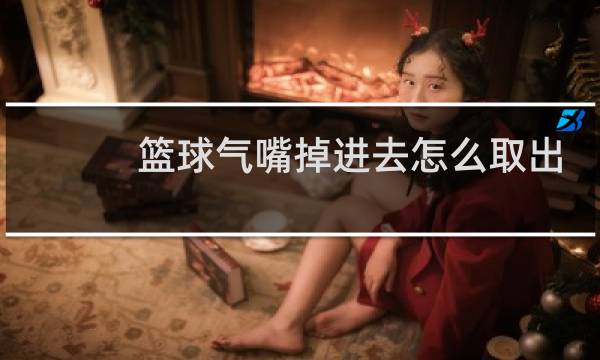 篮球气嘴掉进去怎么取出图片