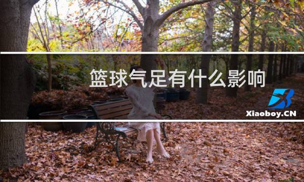 篮球气足有什么影响图片