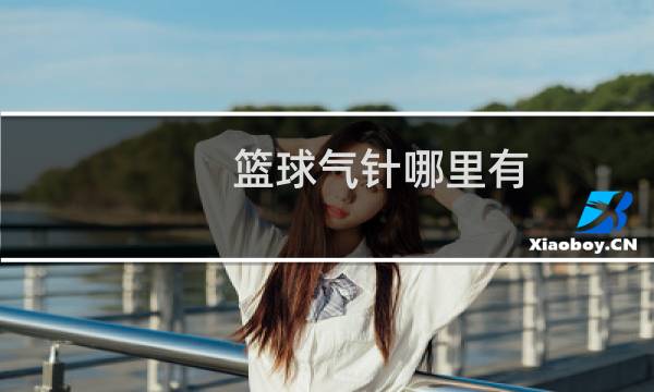 篮球气针哪里有图片
