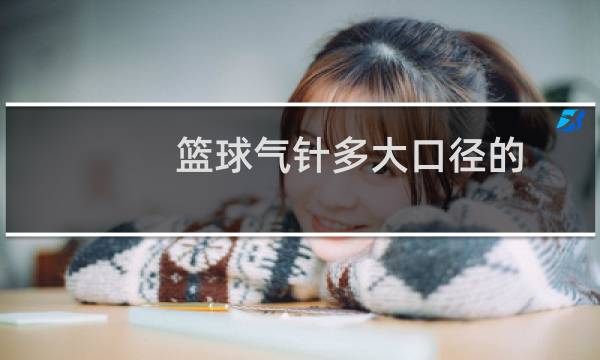 篮球气针多大口径的图片