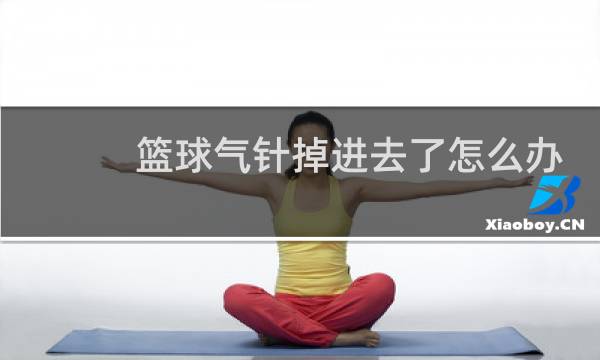 篮球气针掉进去了怎么办图片