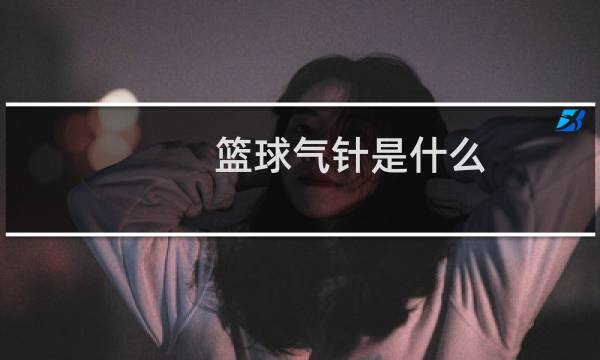 篮球气针是什么图片