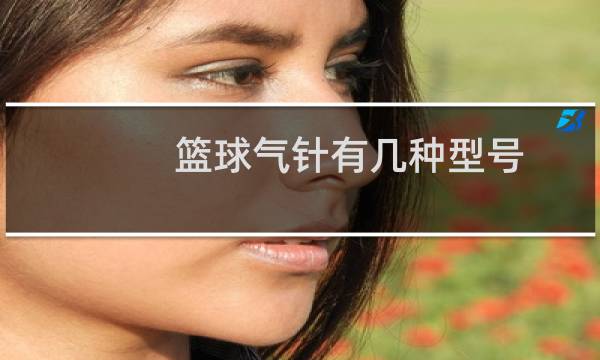篮球气针有几种型号图片