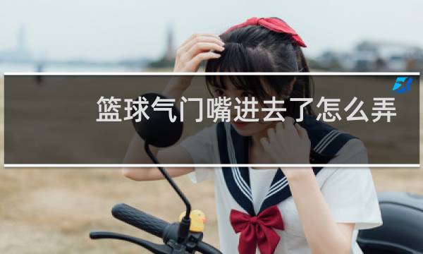篮球气门嘴进去了怎么弄出来图片