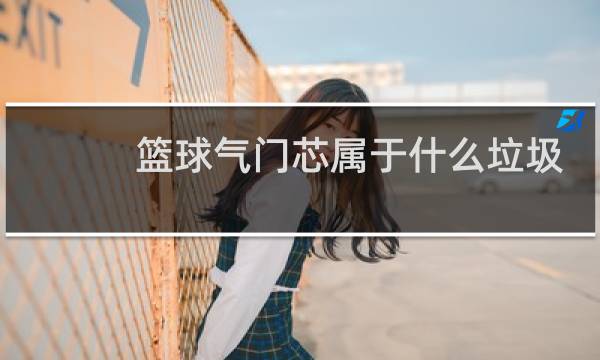 篮球气门芯属于什么垃圾图片