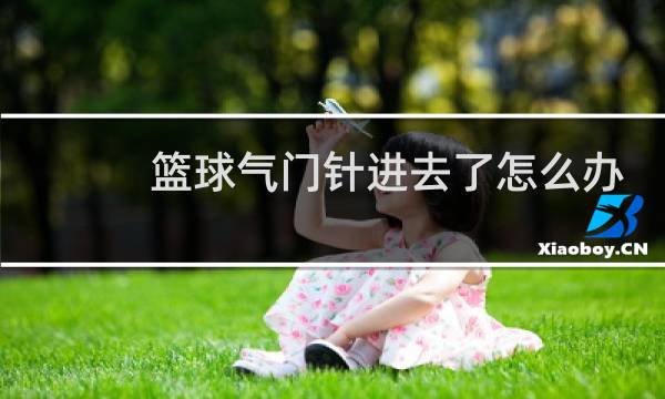 篮球气门针进去了怎么办图片