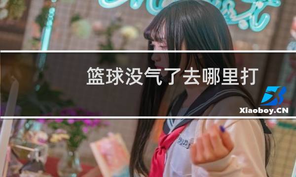 篮球没气了去哪里打图片
