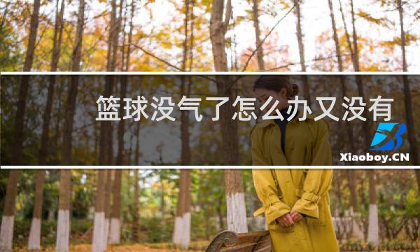 篮球没气了怎么办又没有打气筒图片