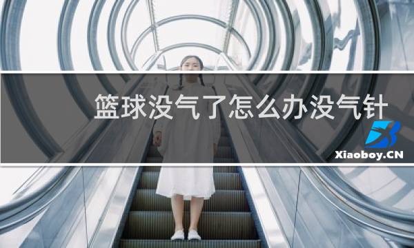 篮球没气了怎么办没气针图片