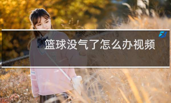 篮球没气了怎么办视频图片