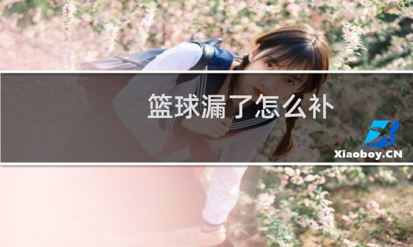 篮球漏了怎么补图片