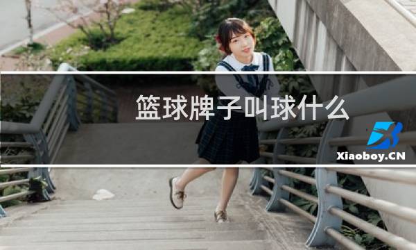 篮球牌子叫球什么图片