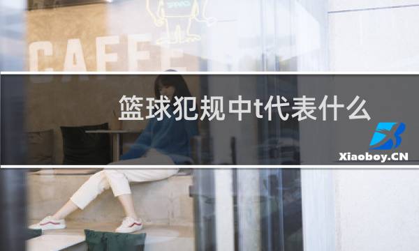 篮球犯规中t代表什么图片