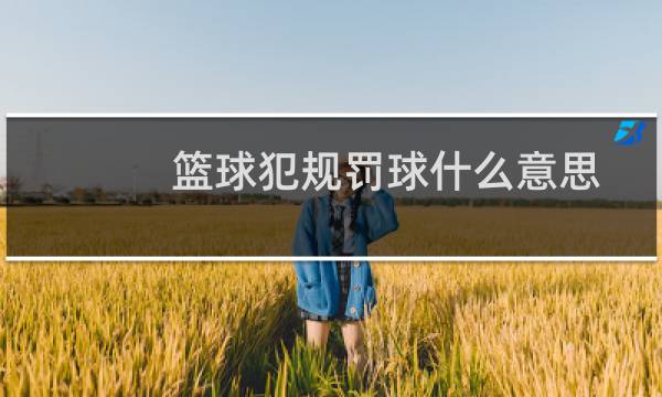 篮球犯规罚球什么意思图片