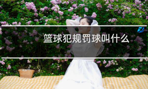 篮球犯规罚球叫什么图片