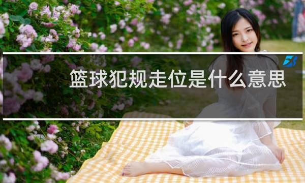篮球犯规走位是什么意思图片