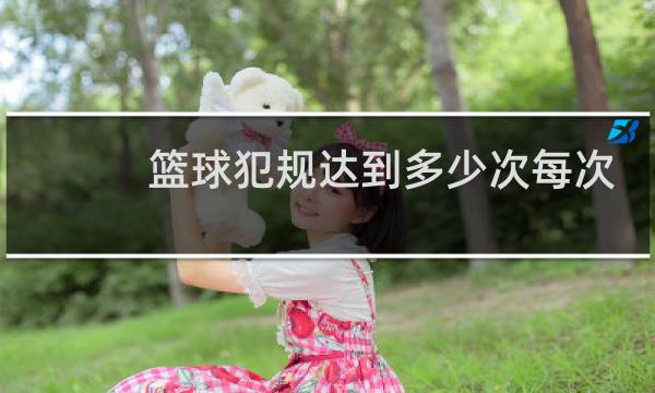 篮球犯规达到多少次每次都罚球图片
