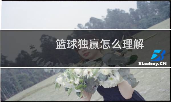 篮球独赢怎么理解图片