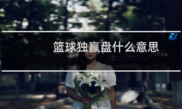 篮球独赢盘什么意思图片