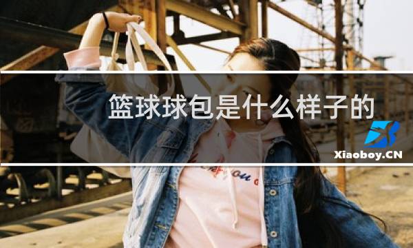 篮球球包是什么样子的图片