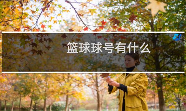 篮球球号有什么图片