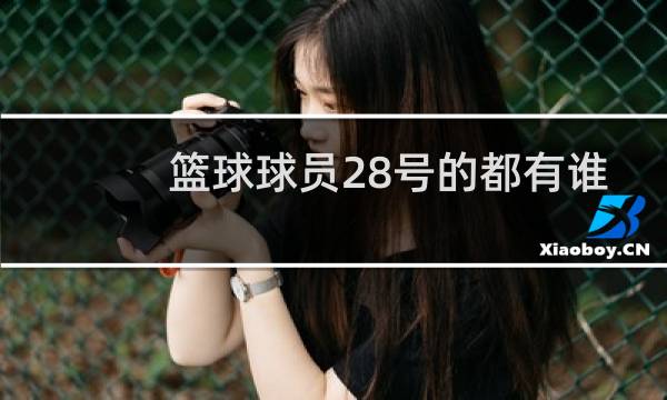 篮球球员28号的都有谁图片
