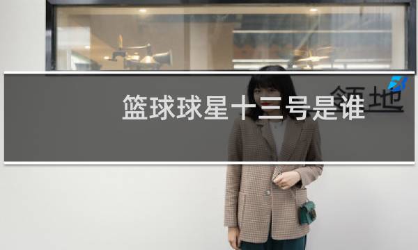 篮球球星十三号是谁图片