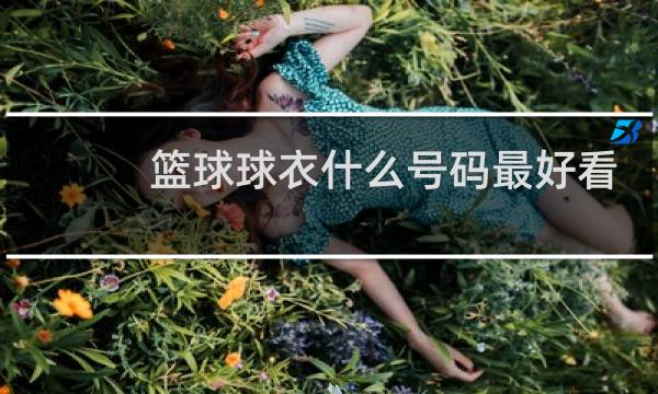 篮球球衣什么号码最好看图片
