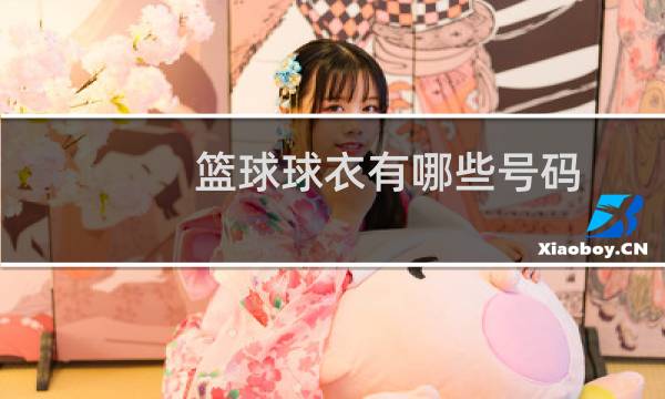 篮球球衣有哪些号码图片