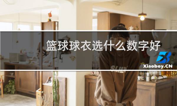 篮球球衣选什么数字好图片