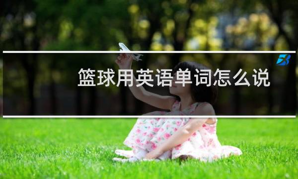 篮球用英语单词怎么说图片