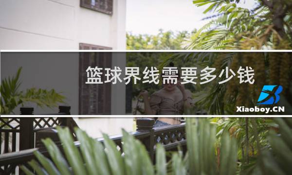 篮球界线需要多少钱图片