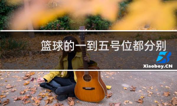 篮球的一到五号位都分别是什么意思图片