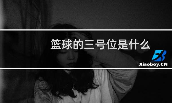 篮球的三号位是什么图片