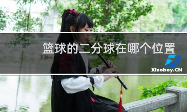 篮球的二分球在哪个位置图片