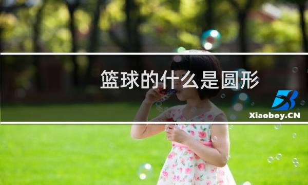 篮球的什么是圆形图片