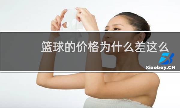 篮球的价格为什么差这么大图片