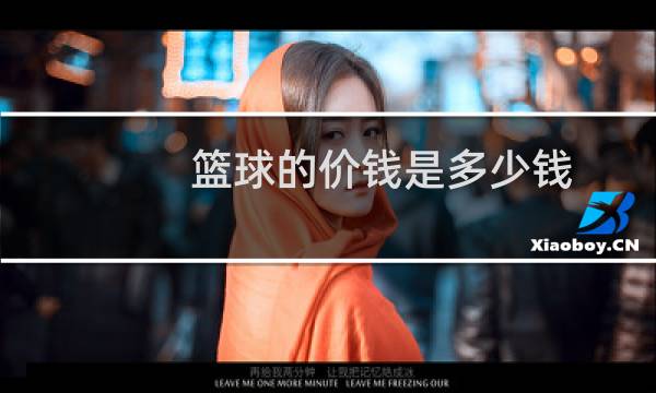 篮球的价钱是多少钱图片