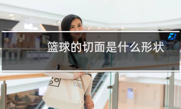 篮球的切面是什么形状图片