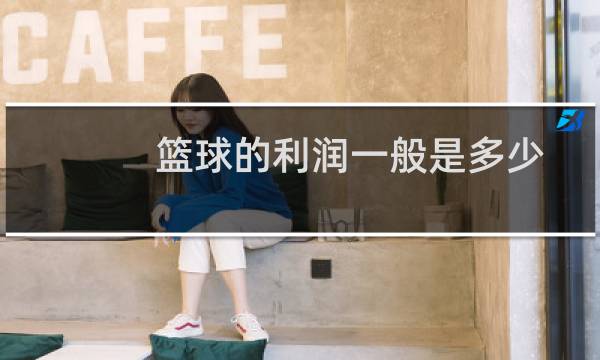 篮球的利润一般是多少图片