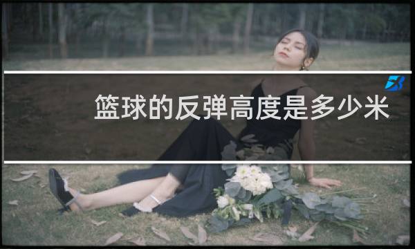 篮球的反弹高度是多少米图片