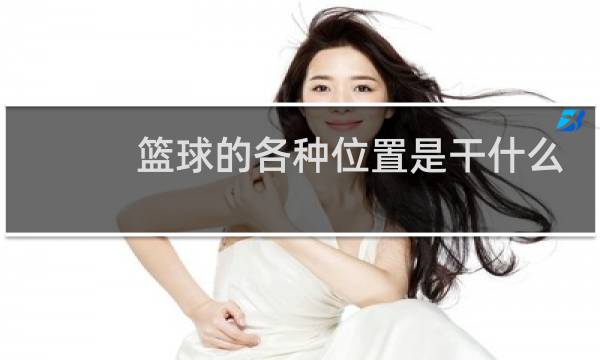篮球的各种位置是干什么的图片
