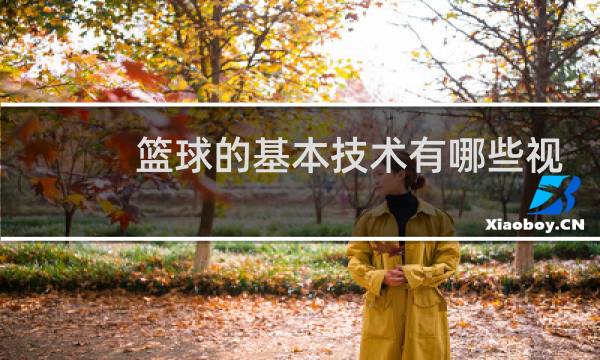 篮球的基本技术有哪些视频图片