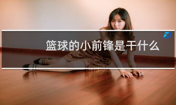 篮球的小前锋是干什么图片