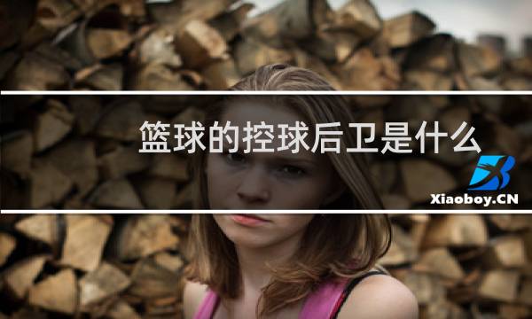 篮球的控球后卫是什么图片