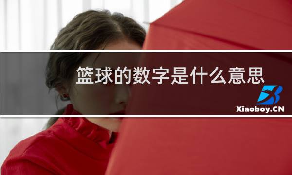 篮球的数字是什么意思图片
