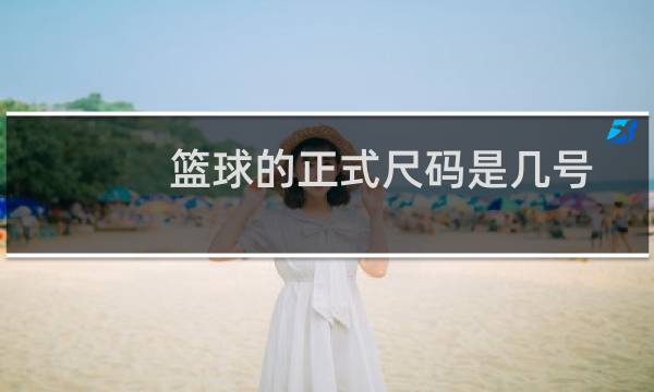 篮球的正式尺码是几号图片